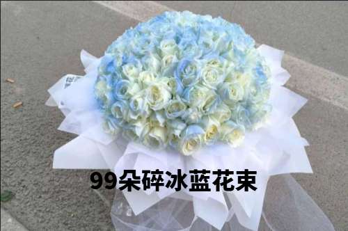 ̫ԭƺ